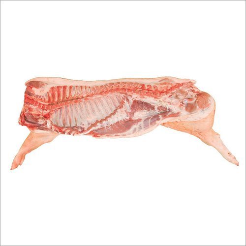 Whole Pork Carcass