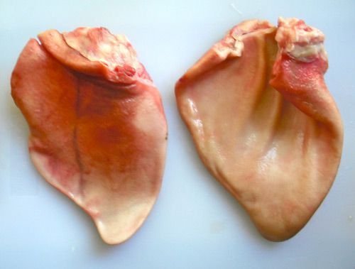 Pork Ear